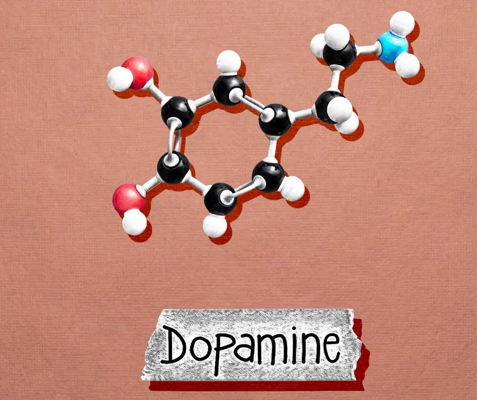 CBD para estudiar