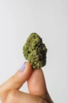 Cannatonic_o