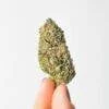 Gelato CBD