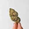 Strawberry CBD