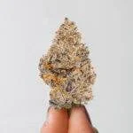 white widow