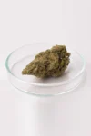 Flor-CBD-Harlequin-Cannacbd-1.webp