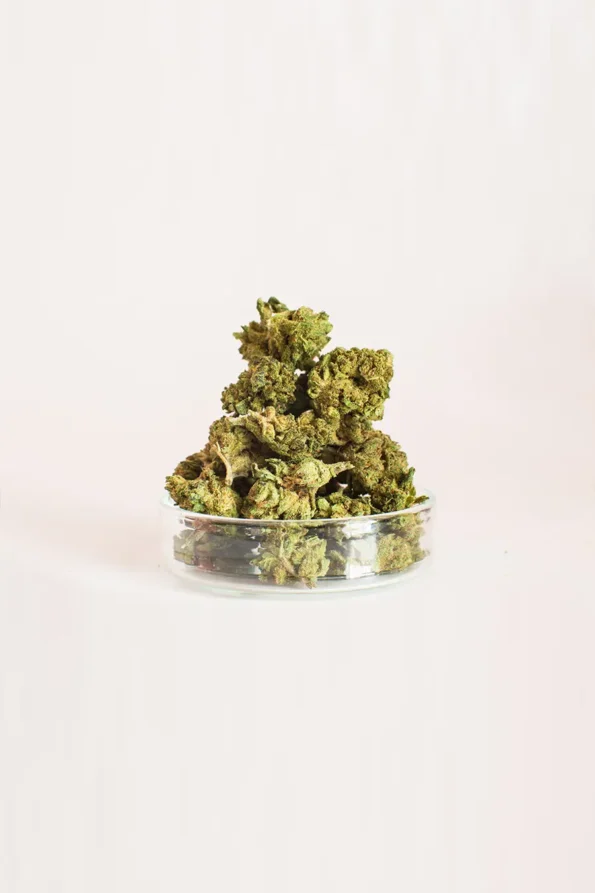 Flor-CBD-Smallbuds-Moby-Dick-Cannacbd