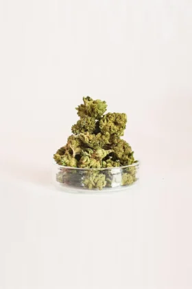 Flor-CBD-Smallbuds-Moby-Dick