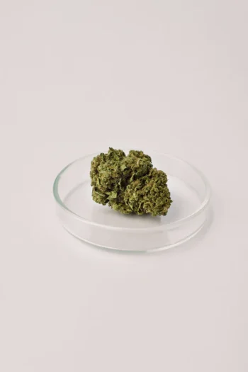 cannatonic