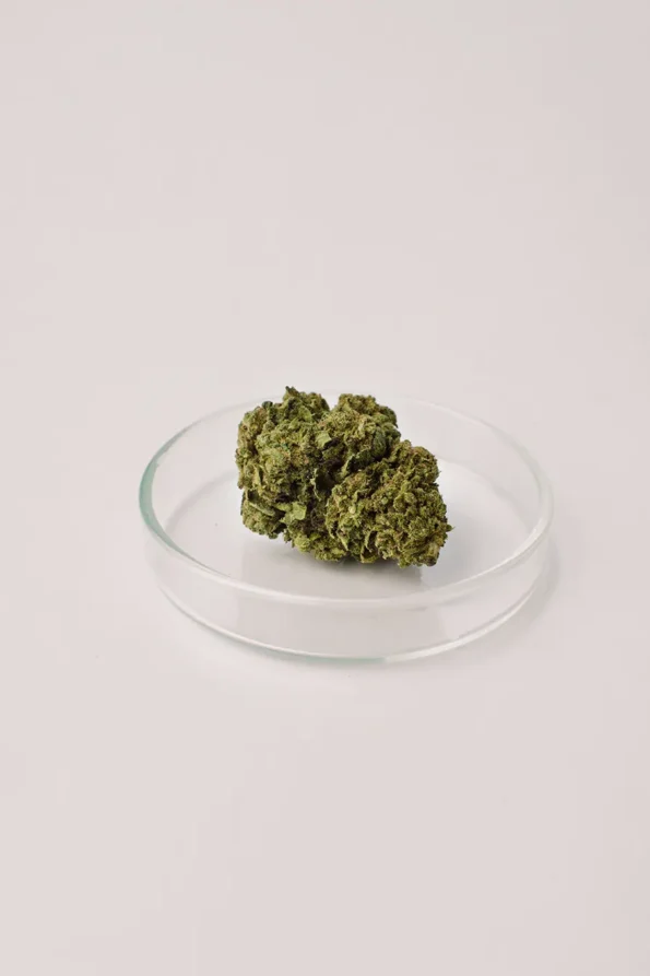 cannatonic