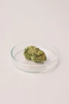 Gorila-Glue-CBD-3-1.jpg