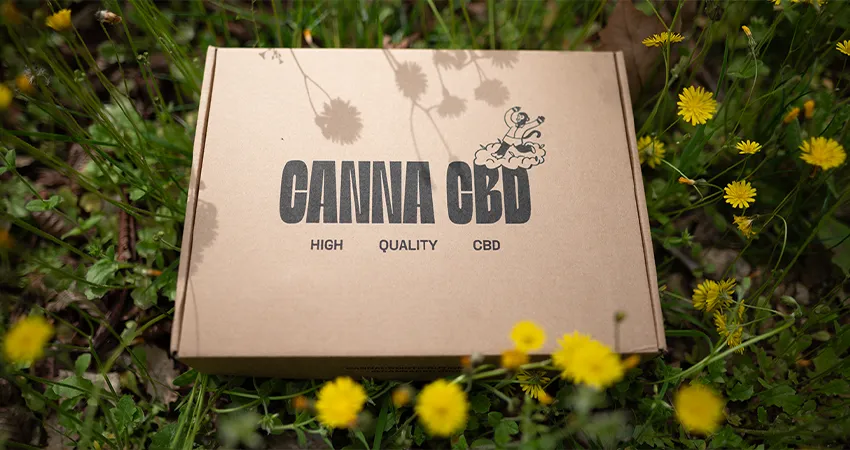 resinas al por mayor