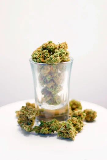 Cogollos Pequeños Amnesia CBD
