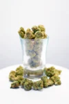 bubblewebp-scaled-2.webp