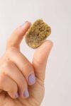 hash2-scaled-2.jpg